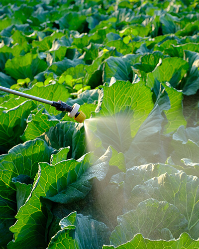Środki ochrony roślin - Agro-OS - Hurtownia rolnicza Złocieniec